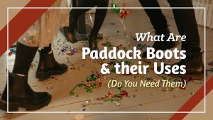 What are Paddock Boots and Their Uses Do You Need Them